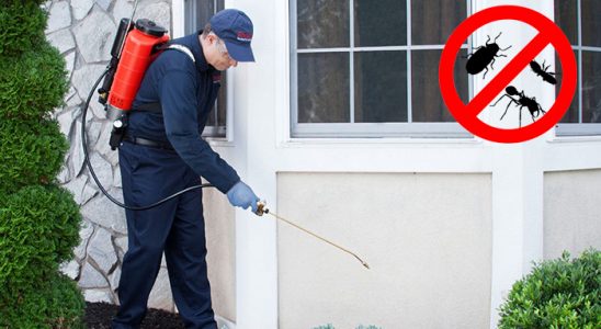 Derbent Bit İlaçlama böcek ilaçlama ve haşere kontrolü — ilaclama-tr.com